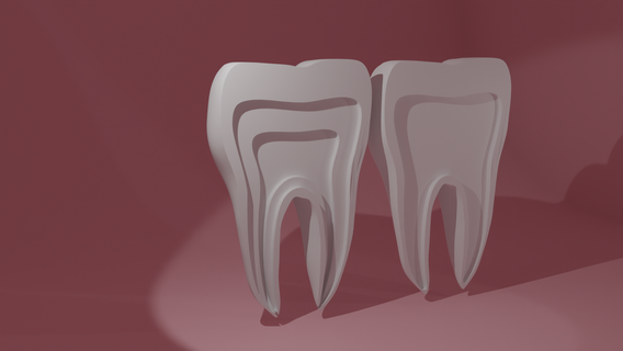 dente odontoiatria molare igiene bocca denti smalto dentina polpa 3d print model - Mito3D