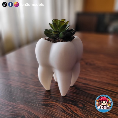 zahn pflanze topf stift halter unterstützung molar blume zuhause haus zahnarzt schreibtisch veranstalter dekor geschenk pflanzer büro zähne garten dental zahnheilkunde lager zahnbürste mehrzweck funktional organisation dekorativ multi purpose 3d print model - Mito3D