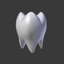 diente varios mole 3d print model - Mito3D