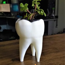 tooth vase art odontology dentistry design interiordesign succulent pots suculenta plant 3d print model - Mito3D