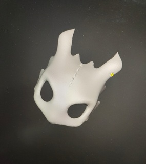 dişsiz maske Evcil Hayvan Ejderha köpek kedi 3d print model - Mito3D