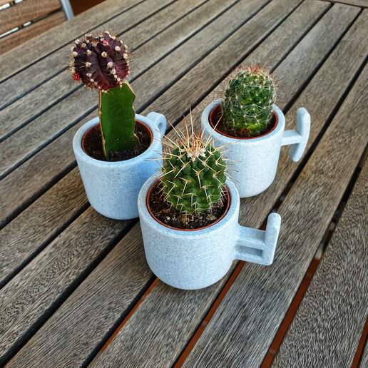 torrent cactus pots flowerpot pot plant concrete handle mug land plants garden 3D print model - Mito3D