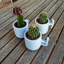 torrent cactus pentole vaso fiori pentola pianta calcestruzzo maniglia tazza sbarcare impianti giardino 3d print model - Mito3D