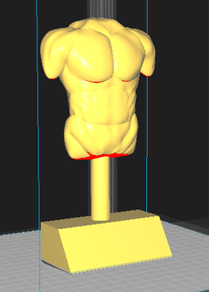 torso umano 3d print model - Mito3D