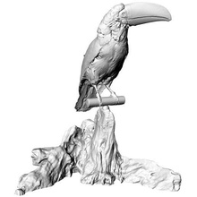 toucan art animal sculpture oiseau 3d print model - Mito3D