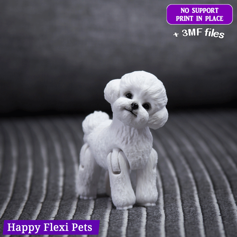 giocattolo barboncino bichon fregio articolato realistico cane arte maltipo maltese miniatura lhasa apso mascotte flessibile cucciolo agitarsi animale domestico contento animali domestici 3D print model - Mito3D