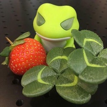 travel frog creeping-oxalis game 3d print model - Mito3D