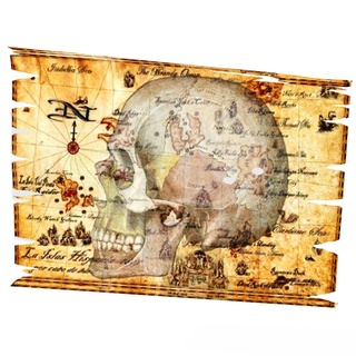 Tesouro mapa pirata ouro tronco caverna marinho navegador crânio ilha 3d print model - Mito3D