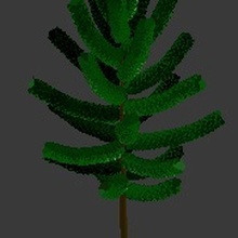 tree19 architecture tree 3d print model - Mito3D