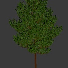 tree22 Architektur Baum 3d print model - Mito3D