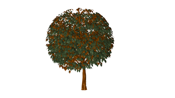 albero fiore pianta verde giardino 3d print model - Mito3D