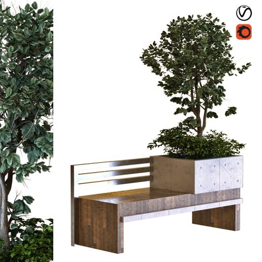 albero scatola set030 panchina pbr mtl architettura oncreta legna foglia verde cespuglio pianta piante d'appartamento esotico impianti decorativo bianca vaso fiori Noce cocco palma nucifero 3D print model - Mito3D