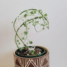 trellis climbing plants vines flower pot planter 3d print model - Mito3D