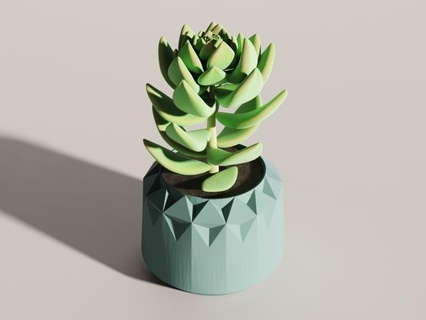 tri facetté polygonal planteur planteursxcults pot géométrique décorer 3d print model - Mito3D