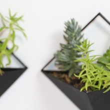 triangolo fioriera casa la decorazione natura pianta succulente 3d print model - Mito3D
