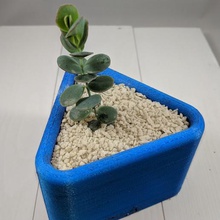 triangle succulent planter home small indoor houseplants plant pot 3d print model - Mito3D