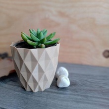 triangulaire pot art 3d impression succulentes 3d print model - Mito3D