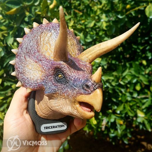 Triceratops 3D print model - Mito3D