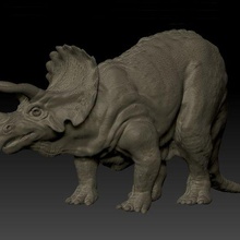 triceratops dinossauro estatueta escola 3d print model - Mito3D