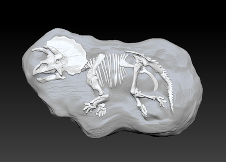 triceratopo fossile roccia 3d scheletro dinosauro giurassico ossatura foresta 3d print model - Mito3D