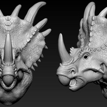 Triceratops Kopf 3d print model - Mito3D