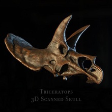 triceratops kafatası - dinozor sanat dino jurassic trex tarama 3d yineleme 3d print model - Mito3D