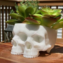 triclops crâne planteur tri polyface 3d print model - Mito3D