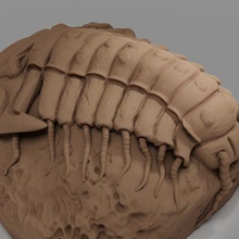 trilobite Arte dinosaurio figura 3d print model - Mito3D