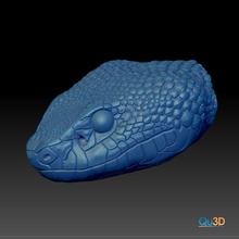 meses albolabris 3d impresión cabeza model stl alto polígono serpiente serpientes modelo terrarios Arte decoración 3d print model - Mito3D