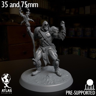 troll sciamano troll sciamano d d Dungeons and Dragons miniatura 3d print model - Mito3D