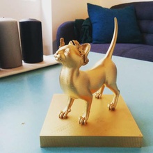 Trophäe goldene Kätzchen Kunst 3d print model - Mito3D