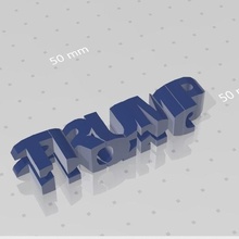 trump 2020 art 3d print model - Mito3D