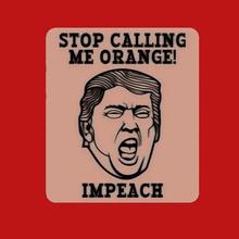 trump stop calling me orange impeach sign art signs logos refrigerator magnet politics funny fridge 3d print model - Mito3D