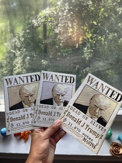 trump wanted poster - one piece inspried made w hueforge filamentpainting mugiwara art 3d print model - Mito3D