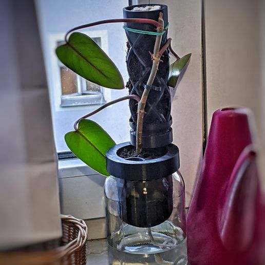 tubo alpinismo plantas self watering tarro fácil impresión planta maceta crece flor filodendrona autorriego jardín 3D print model - Mito3D