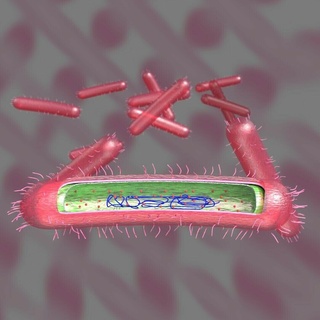 tüberküloz bakteri detay kesmek Bölüm etiketli 3d model çeşitli mikobakteri basil insan tıbbi Bilim mikro organizma 3d print model - Mito3D
