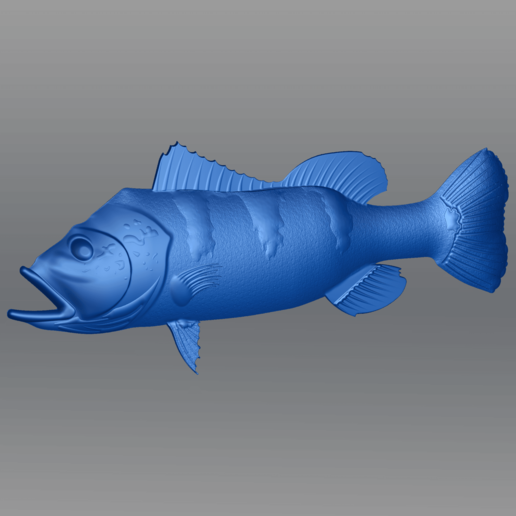 tucunar stl alívio vários socorro tucunare peixe a amazônia cnc escultura peixes art Fish 3d artcam carveco relevo 3D print model - Mito3D