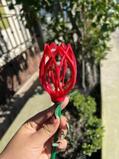 tulip 3d print model - Mito3D