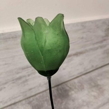 tulipano fiore verde giallo 3d print model - Mito3D