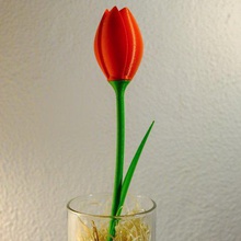 tulip home Dekor Frau valentines Tag Geschenke Tulpe Blume tulipan saint vorhanden Blumen fiori fiore 3d print model - Mito3D