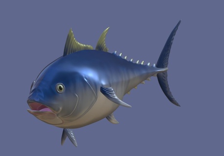 thon poisson Marin animaux banc bijou aimant art biologie bioart 3d print model - Mito3D