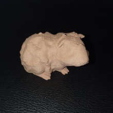 la turquie cochon scanner de téléphone traiter photo recap pc art guinée mettre bas récapitulation 3d print model - Mito3D