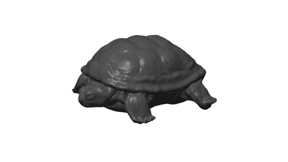 kaplumbağa hayvan deniz doğa balık 3d print model - Mito3D