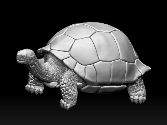 tartaruga lucertola rettile animale stampa serpente conchiglia armatura 3d print model - Mito3D