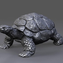 turtle art tortoise nature sea miniatures figure 3d print model - Mito3D