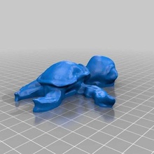 turtle - 123dcatch game animals toy meshmixer leapfrog creatr 3d print model - Mito3D