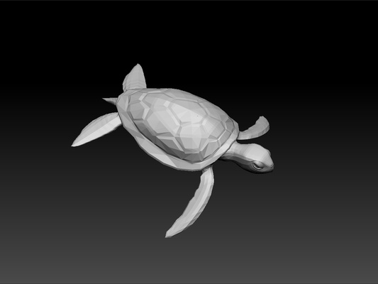 tartaruga mare animale giocattolo on scrivania test modello sorprendente reale bellezza bellissimo brillante regalità 3d print model - Mito3D