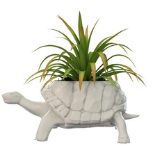 tortuga jarrón de la planta casa decorativos florero animal 3d print model - Mito3D