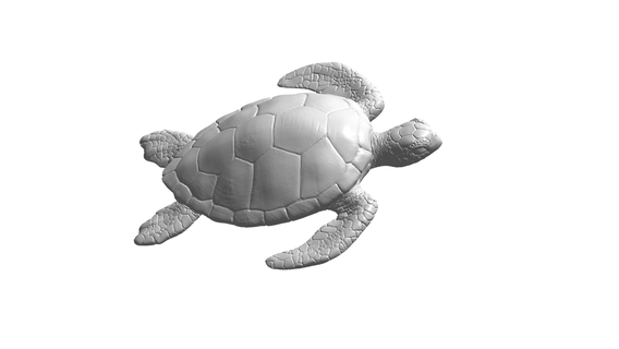 tartaruga escultura animal arte parede ar vr meta metverso 3d print model - Mito3D
