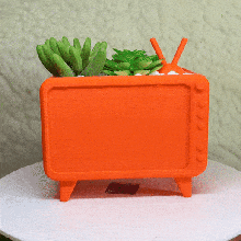 tv plantador moda antiga vaso suculento Panela 3d print model - Mito3D